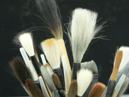 Shop Brushes How to take care of your brushes